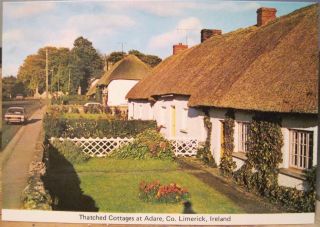 Irish Postcard Thatched Cottages - Adare County Limerick Ireland Cardall 295