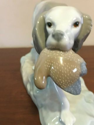 NAO Lladro Hunting Dog With Quail Figurine 4