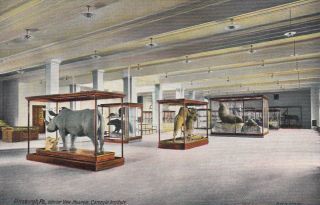 Pittsburgh,  Pa. ,  00 - 10s ; Interior View,  Museum,  Carnegie Institute