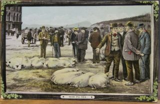 Vintage Postcard Irish Pig Fair Ireland Shamrock Border Valentine Crystoleum