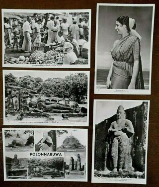 Ceylon Postcards X 5,  Real Photographs,  All Unposted,  From The 1950s - 60s,