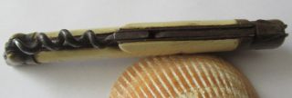 Vintage French Folding Knife Laguiole corkscrew France Navaja old fly bee 3