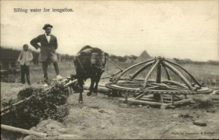 Published In Shanghai China Sifting Water For Irrigation C1910 Postcard