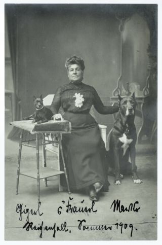 Dog Photo Woman With 2 Dogs (4223)