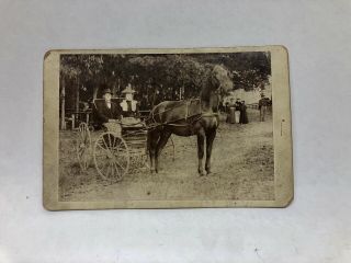 Horse And Carriage Couple Photograph Victorian Cabinet Card Clearfield Pa