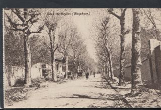 Turkey Postcard - Constantinople - Bois De Beycos (bosphare) Rs14877