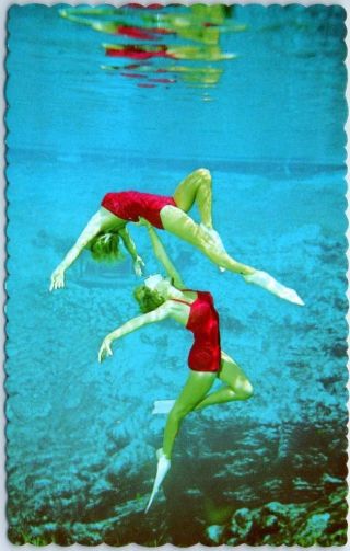 Weeki Wachee,  Florida Postcard " The Famous Underwater Adagio " Mermaids C1960s