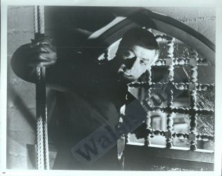 " Gambit " Michael Caine Stars In 1955 Universal Film 8x10 B&w Photo