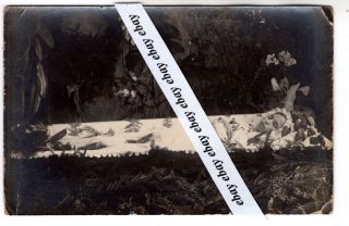 1920 - S Young Girl Post Mortem In Open Coffin Vintage Antique Photo