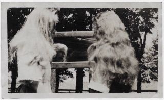 Old Photo Teen Girls With Long Hair Close Up 1910s
