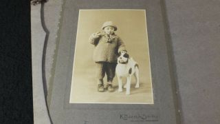 7220 1910s Japanese Old Photo / Portrait Of Young Boy With Dog W Yokohama Japan