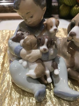 Lladro Figurine 5456 " Playmates " Boy With Dog And Puppies Porcelain Figure