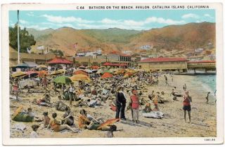 Postcard Bathers On The Beach,  Avalon,  Catalina Island,  California 106437