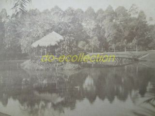 Vietnam Albumen Photo 1897 Saigon Botanical Garden Indochina Indochine