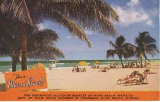Miami Beach Fl Florida Chamber Of Commerce Advertising Ad C1940 Vintage Postcard