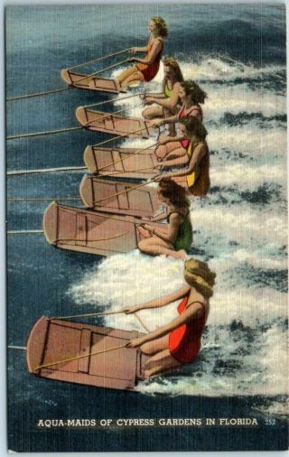 Cypress Gardens,  Florida Postcard " Aqua - Maids " Water - Skiing Girls Linen C1950s