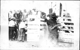 Rodeo Cheyenne Wyoming Wy Bucking Horse Cowboy Rppc Clare Photo