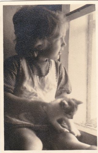 1940s Rare Little Girl By The Window With Kitten Cat Russian Soviet Photo