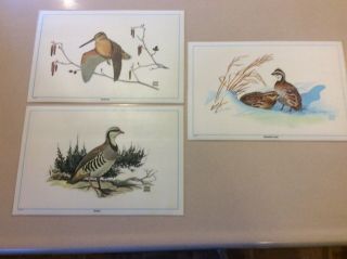 (3) Vintage Plastic Table Placemats Birds Chuck Ripper Very Cool 1971 171/2x113/
