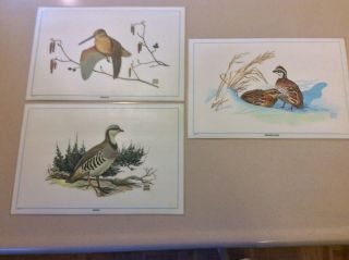 (3) Vintage Plastic Table Placemats Birds Chuck Ripper Very Cool 1971 171/2x113/ 2