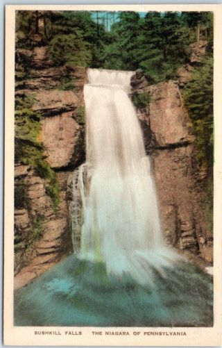 Bushkill Falls Pa Postcard " The Niagara Of Pennsylvania " Hand - Colored Albertype