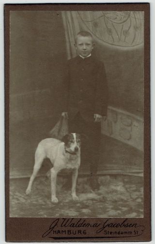 Cdv Photo Boy With Dog (3081)
