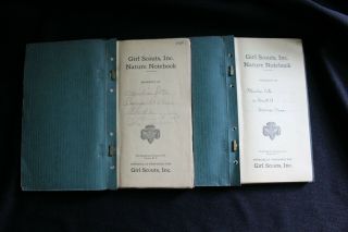 GIRL SCOUT - 1930 ' s NATURE PROFICIENCY BADGE NOTEBOOKS Bird & Tree 2