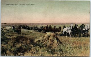 Canada Farming Postcard " Harvesting In Canadian North West " Hand - Colored C1910s