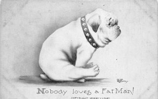 English Bulldog C1909 Artist Signed Postcard V.  Colby Nobody Loves A Fat Man Dog