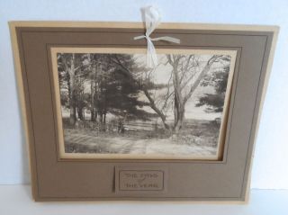 The Days Of The Year 1921 Sepiatone Photograph Trees & Fence Eastern Usa Matted