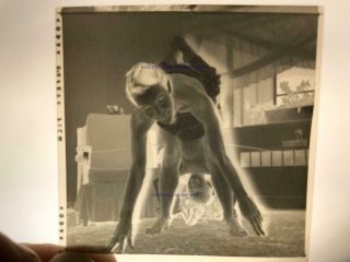 AP2 Orig Negative 40 ' s Girls Get All Twisted Up Abstract Weird Fun Tangled Game 2