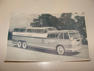 Greyhound Bus Lines Scenicruiser Postcard Vintage