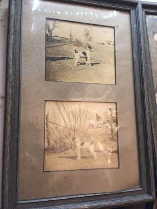 Vintage DOG Photos Wire Haired Fox Terrier Old Frames Framed Black White Picture 2