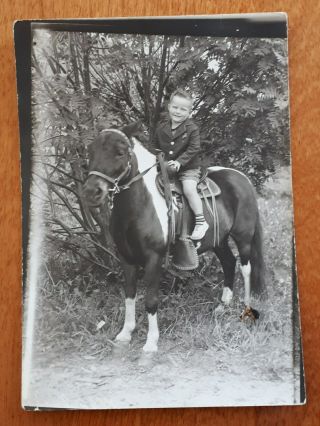 Vintage Photo Young Boy Sitting On Paint Pony Saddle