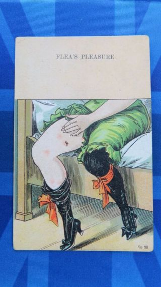 Vintage Comic Postcard 1900s Bed Bugs Pest Control Silk Stockings Fleas Pleasure