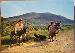 Irish Postcard Girls Children With Donkey And Foal Ireland J Arthur Dixon 7028