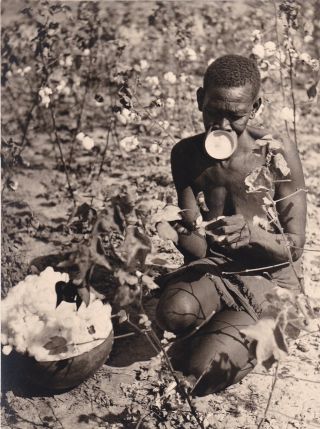 Vintage Silver Photo 1920 African Ethnographic Study Cotton Lip Plate Body Mod