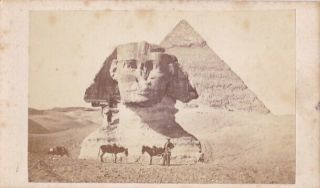 Carte De Visite Cdv Middle East Egypt Early Deadpan Unexcavated Sphinx Pyramid