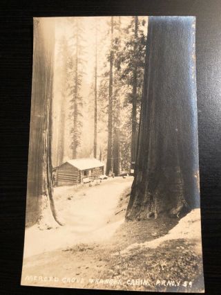 Azo Rppc Postcard - - Ca - - Yosemite - - Merced Grove And Ranger Cabin - - Pillsbury No 59