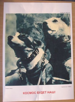 Placard Poster Space Man Rocket Ship Sputnik Cosmic Astronaut Dog Belka Strelka