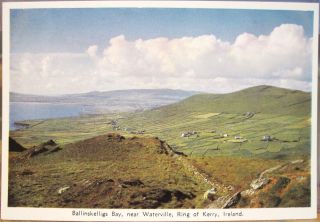 Irish Postcard Ballinskelligs Bay Waterville Ring Of Kerry Ireland Cardall 54