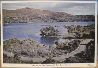 Irish Postcard Trees On The Sea Glengarriff West Cork Ireland Pc Color Card 261