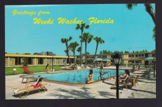 Old Vintage Weeki Wachee Florida Fl Holiday Inn Hotel Postcard
