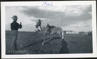 Western Cowboy Man & Trick Horse Photographer 