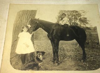Rare Antique American Farm Children,  Pet Horse & Dog Outdoor Maine Cabinet Photo