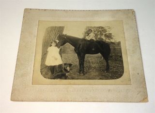 Rare Antique American Farm Children,  Pet Horse & Dog Outdoor Maine Cabinet Photo 2