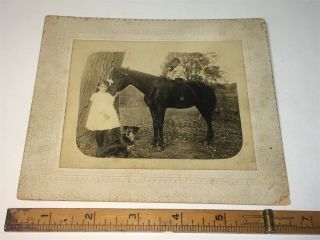 Rare Antique American Farm Children,  Pet Horse & Dog Outdoor Maine Cabinet Photo 6