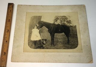 Rare Antique American Farm Children,  Pet Horse & Dog Outdoor Maine Cabinet Photo 7