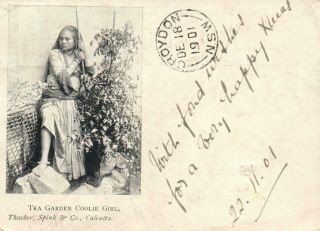 1901 Tea Garden Coolie Girl Postcard - From Colombo,  Ceylon To Sydney