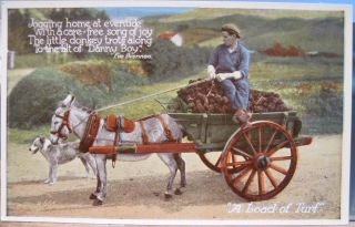 Irish Postcard A Load Of Turf Donkey Dog Danny Boy Eva Brennan Valentine Ireland